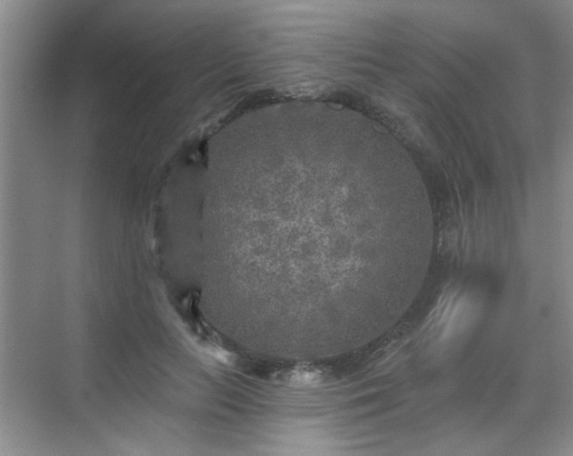 X0000070420647200606161439