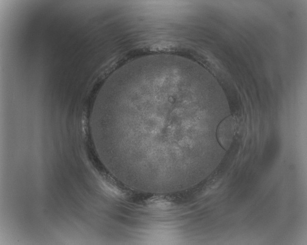 X0000070420648200606161439