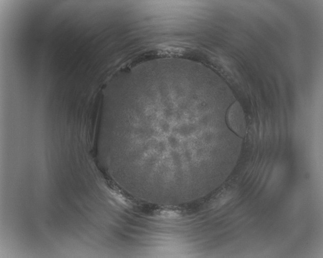 X0000070420649200606161439