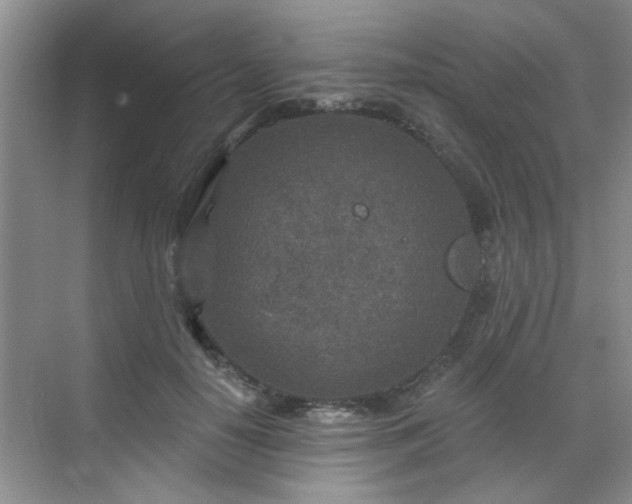 X0000070420650200606161439