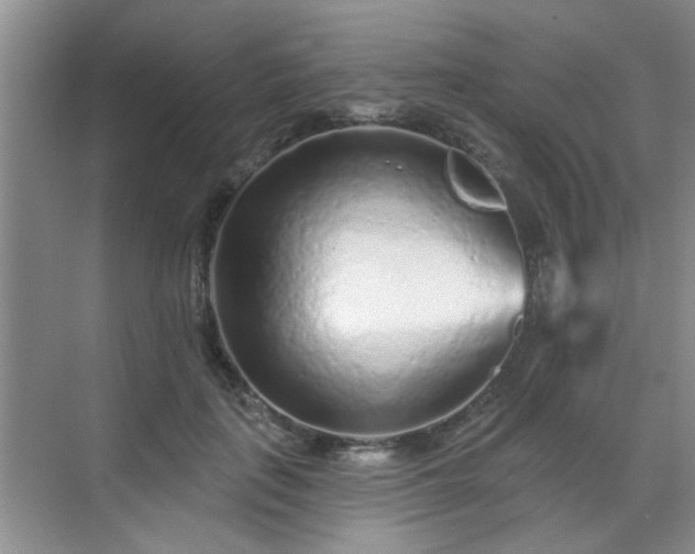 X0000070420651200606161439