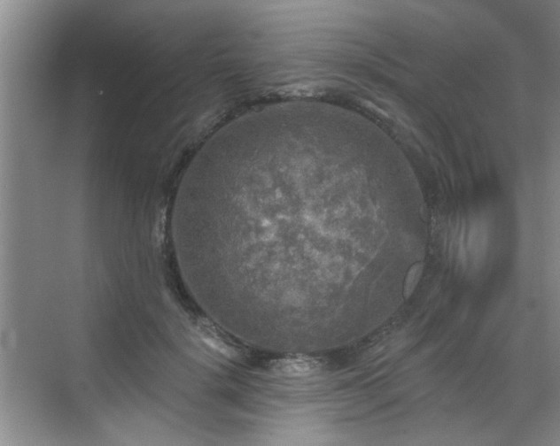 X0000070420652200606161439