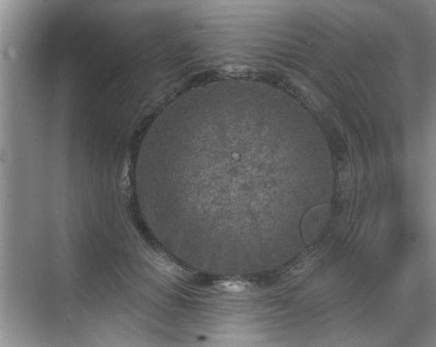 X0000070420654200606161439