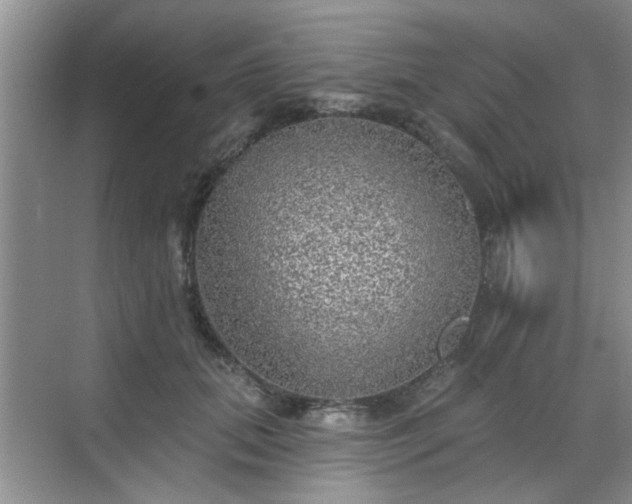 X0000070420655200606161439