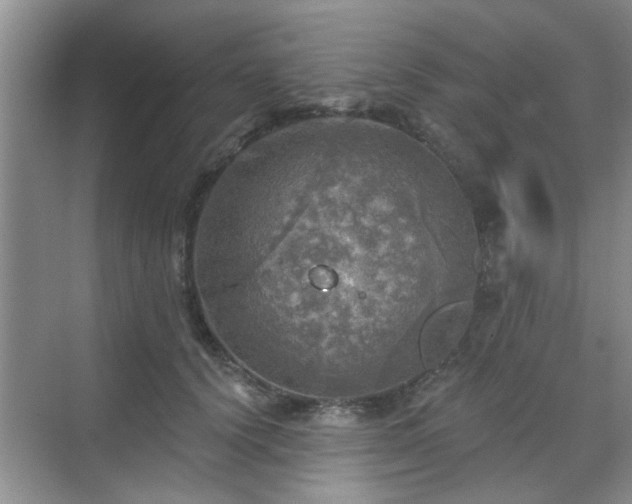 X0000070420656200606161439