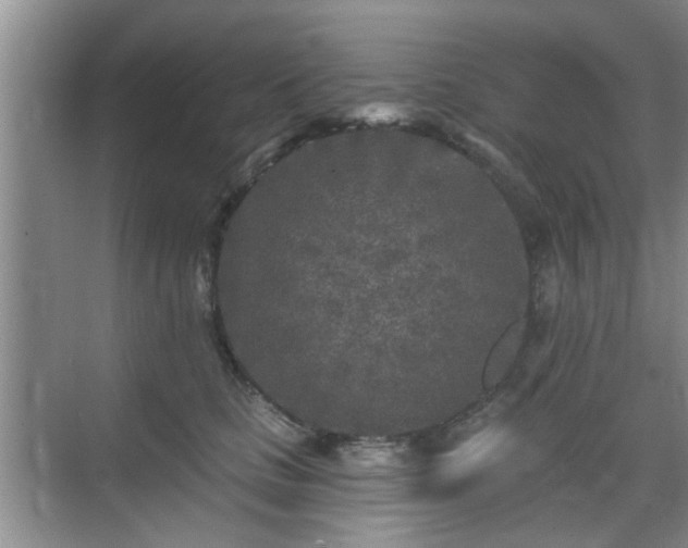 X0000070420661200606161439