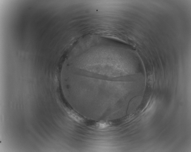 X0000070420662200606161439