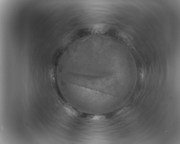 X0000070420663200606161439