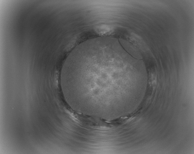 X0000070420664200606161439