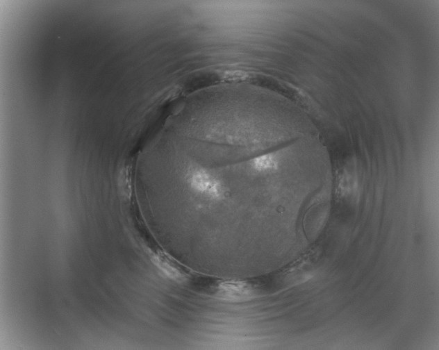 X0000070420666200606161439