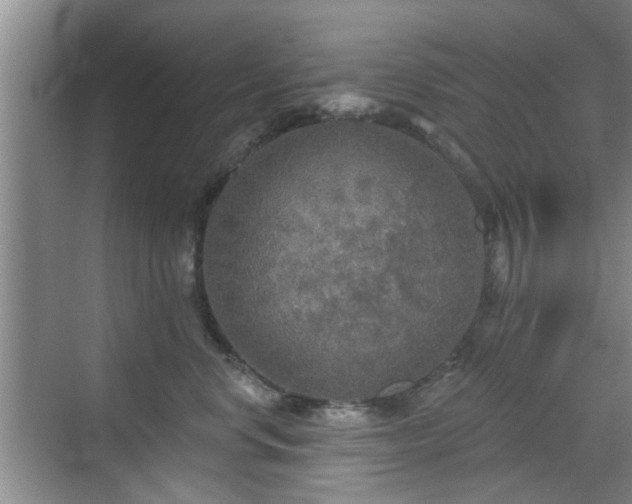 X0000070420668200606161439