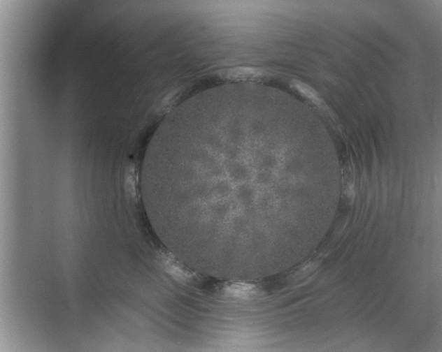 X0000070420669200606161439