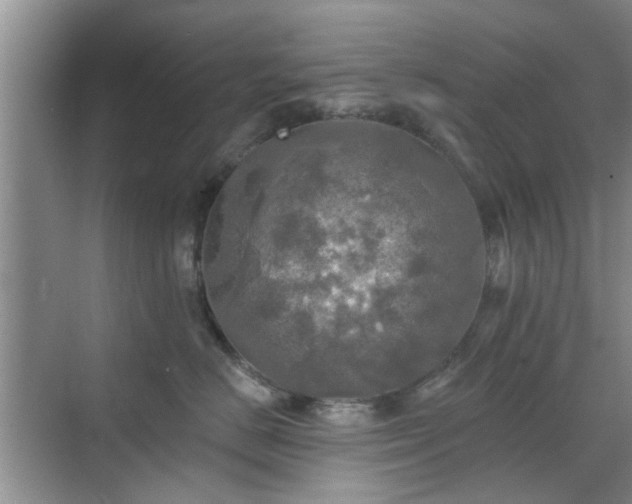 X0000070420670200606161439