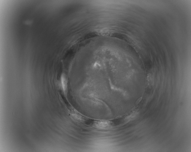 X0000070420671200606161439