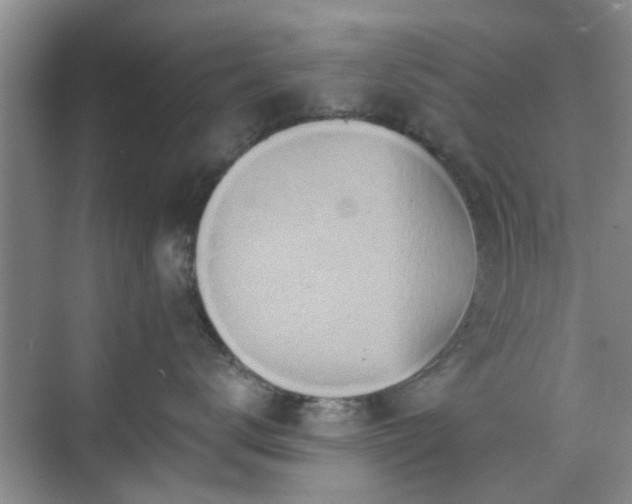 X0000070420672200606161439