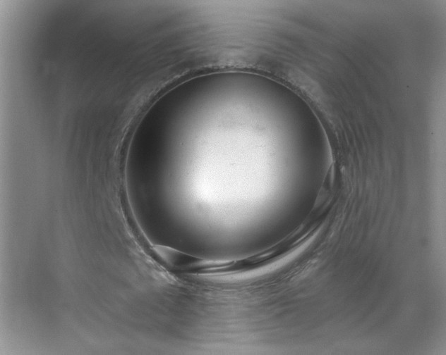 X0000070420673200606161439