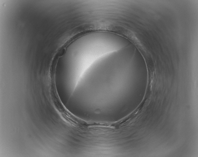 X0000070420674200606161439