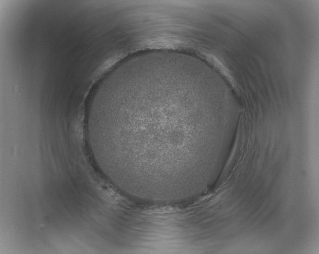 X0000070420675200606161439