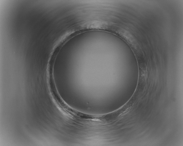 X0000070420678200606161438