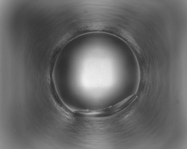 X0000070420681200606161438