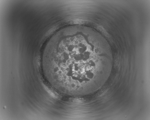 X0000070420683200606161438