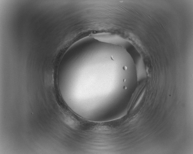 X0000070420685200606161438