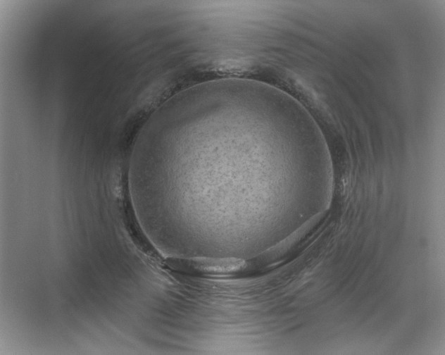 X0000070420689200606161438