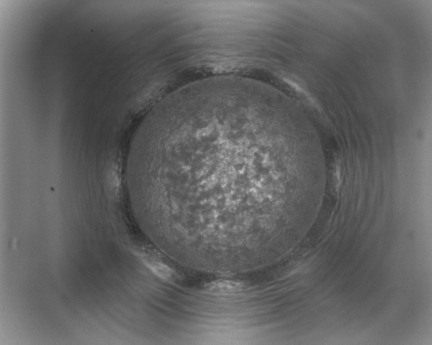 X0000070420691200606161438