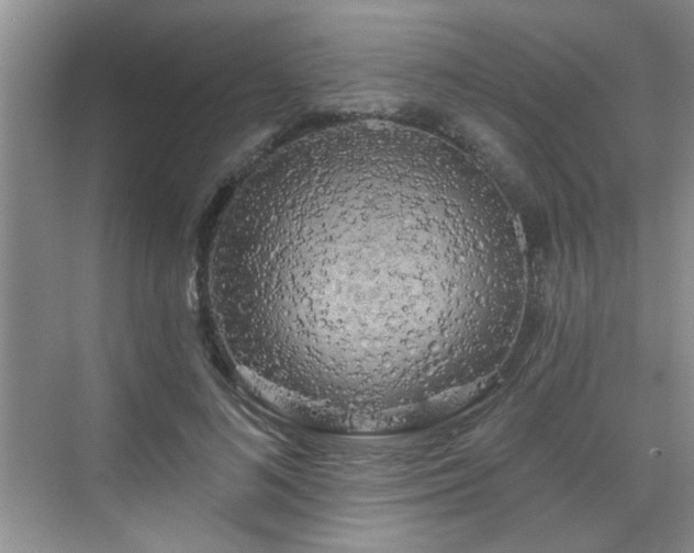 X0000070420692200606161438