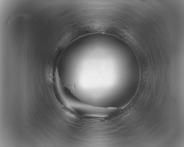 X0000070420693200606161438