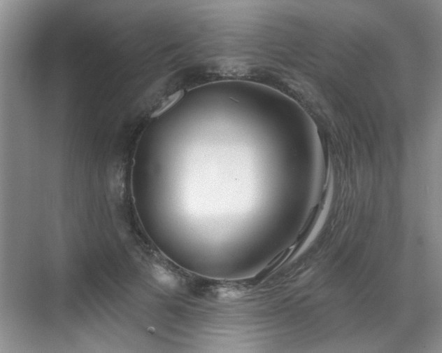 X0000070420697200606161438