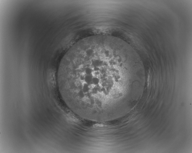 X0000070420699200606161438