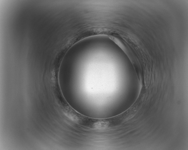 X0000070420700200606161438