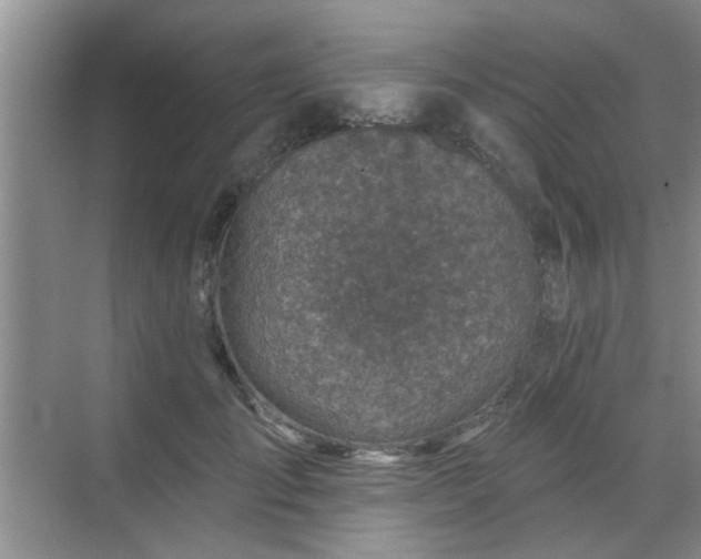 X0000070420701200606161438