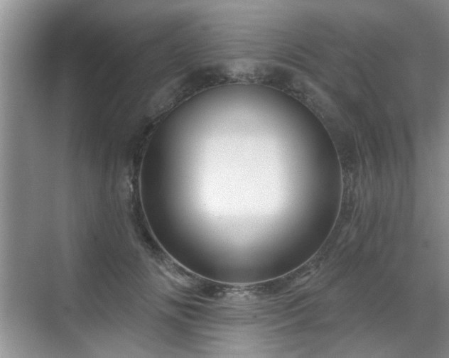 X0000070420702200606161438