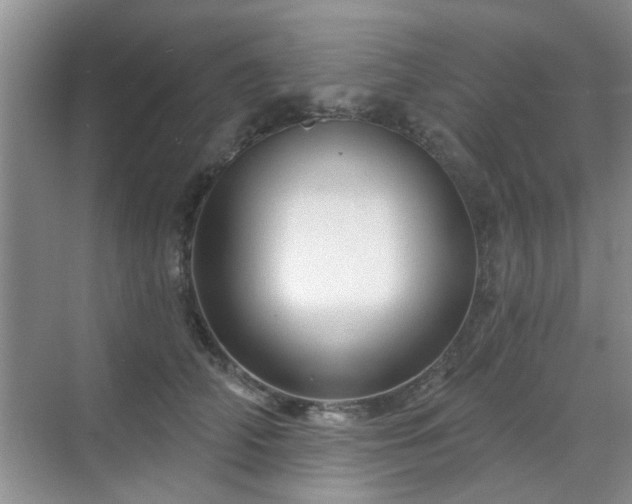 X0000070420706200606161438