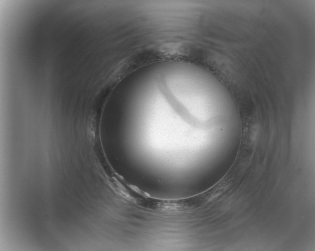 X0000070420710200606161438