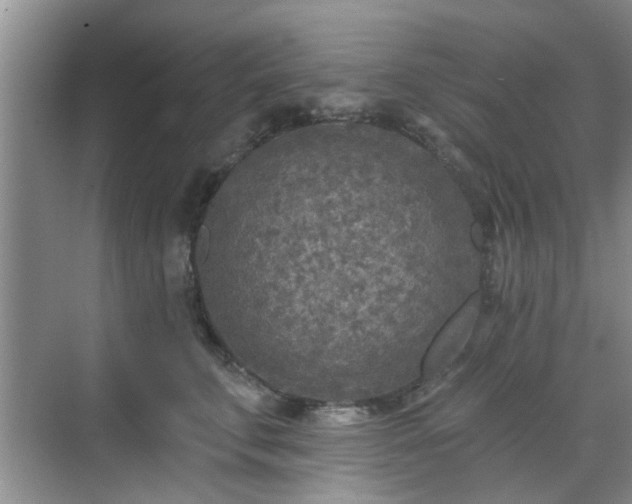 X0000070420711200606161438