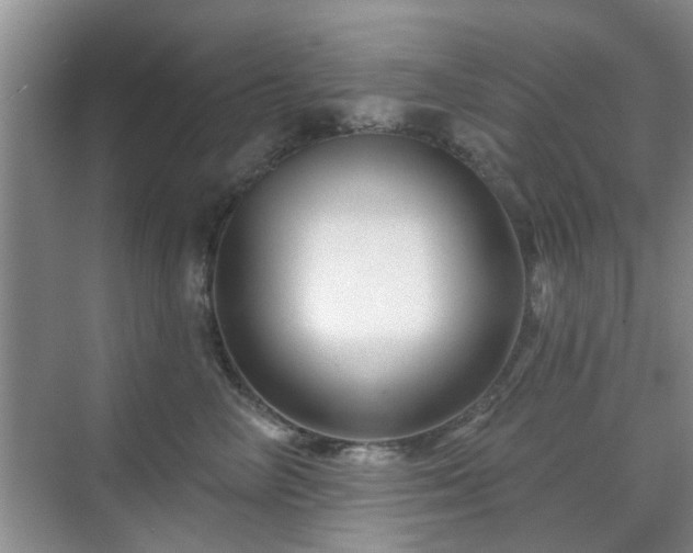 X0000070420714200606161438