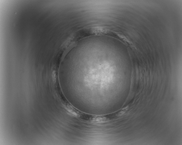 X0000070420716200606161438