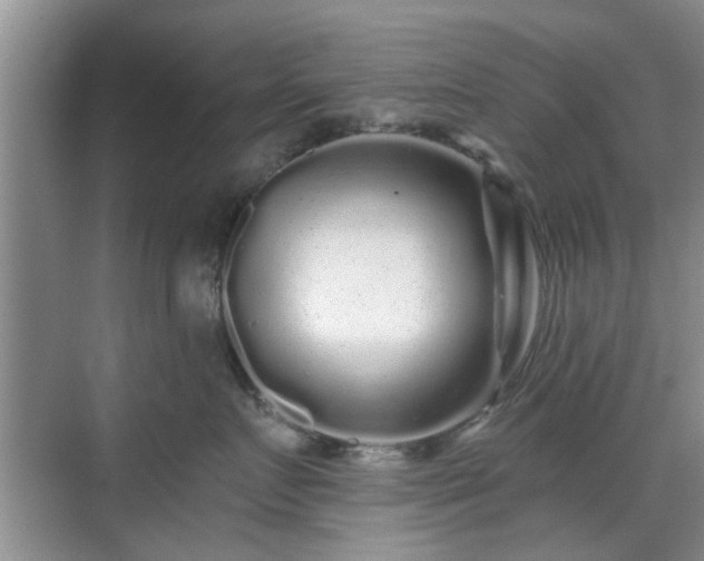 X0000070420719200606161438