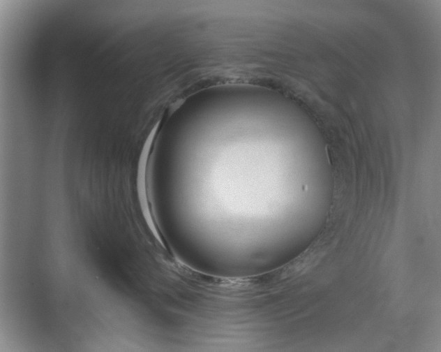 X0000070420720200606161438