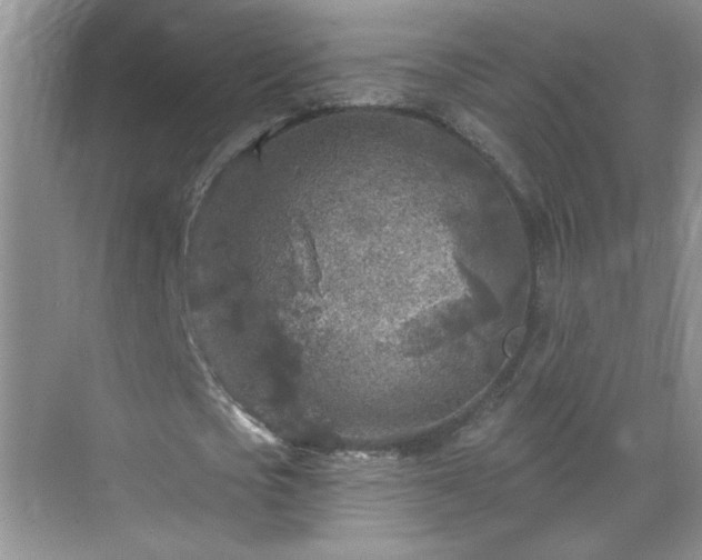 X0000070420721200606161437