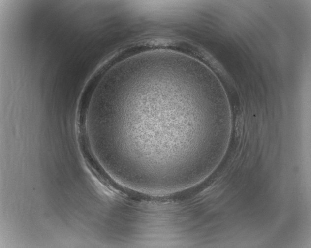 X0000070420722200606161437