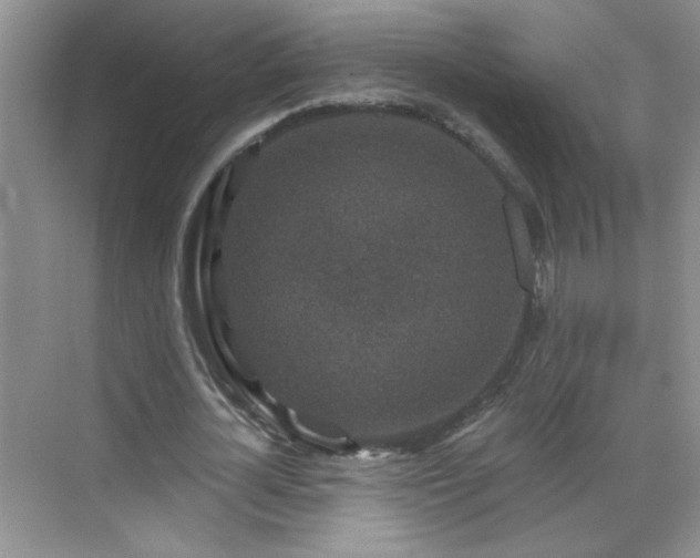 X0000070420724200606161437