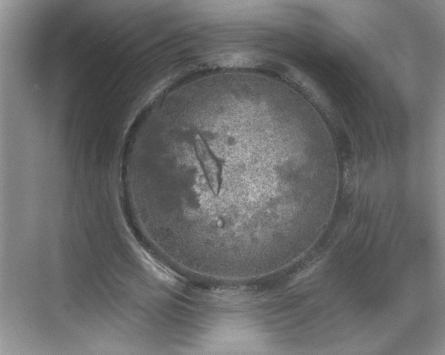 X0000070420725200606161437