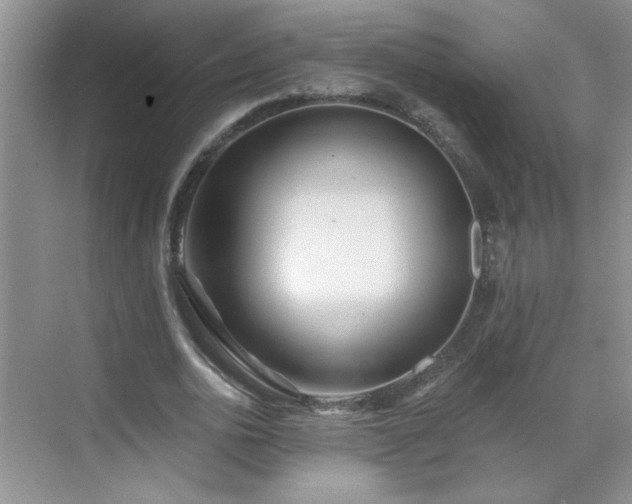 X0000070420726200606161437