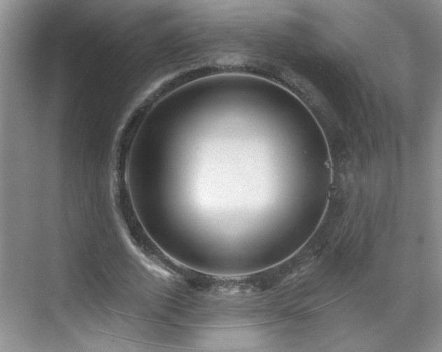 X0000070420728200606161437