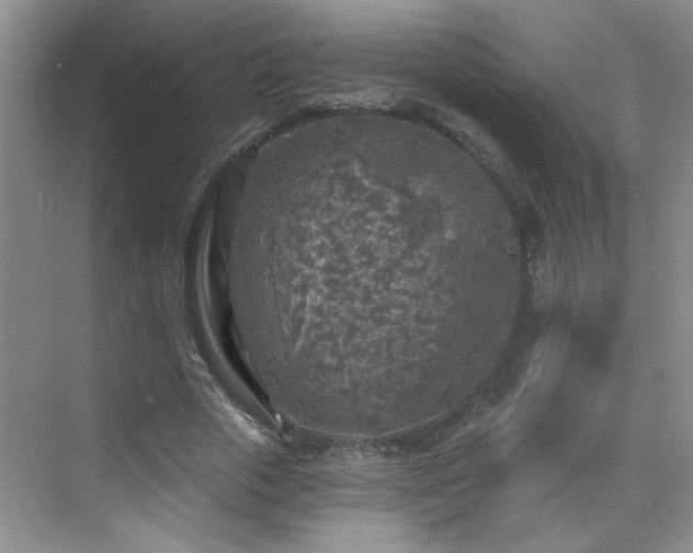 X0000070420729200606161437