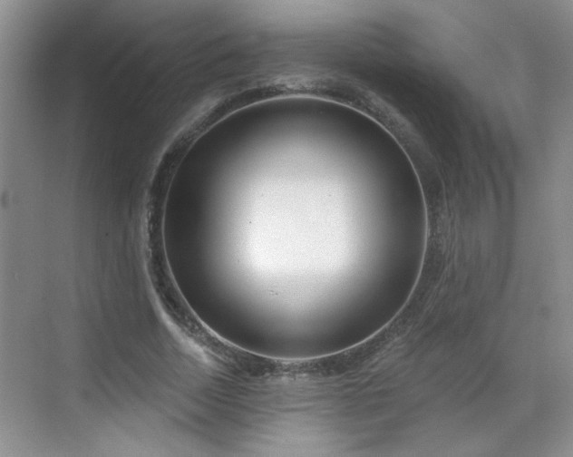 X0000070420730200606161437